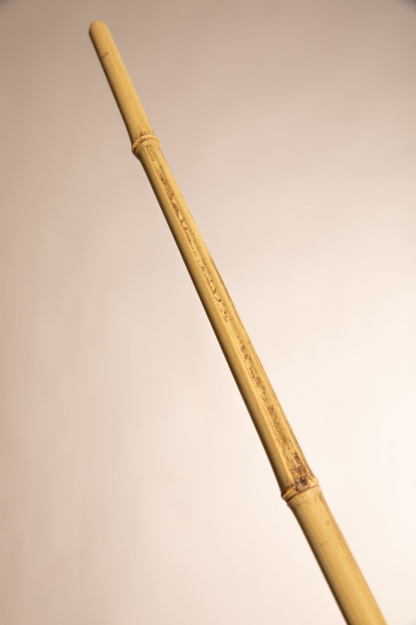 BAMBOO CANE WHIP