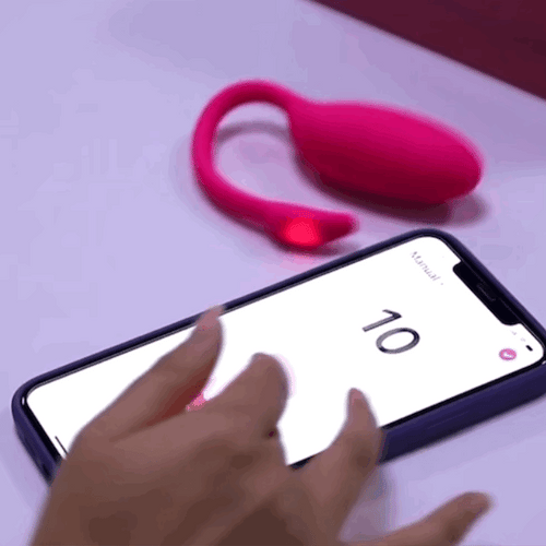 FLAMINGO 2.0 WIRELESS WORLDWIDE
