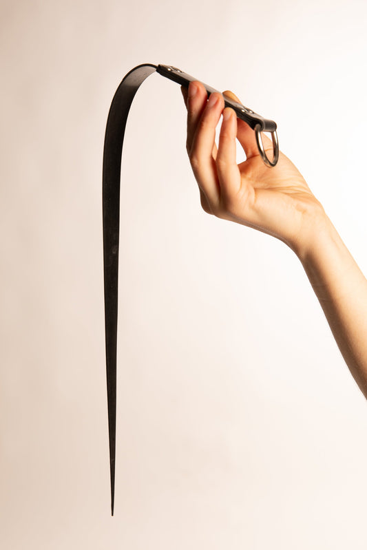 WHIP WITH RUBBER RING