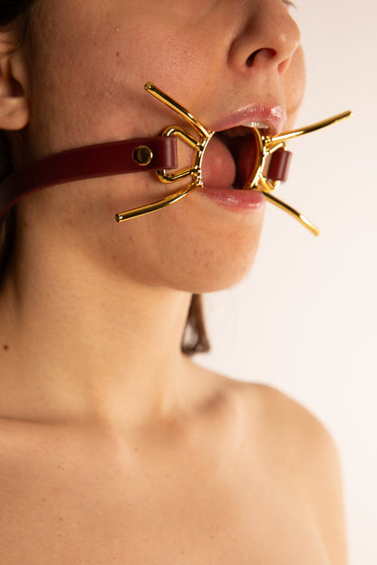 SPIDER GAG