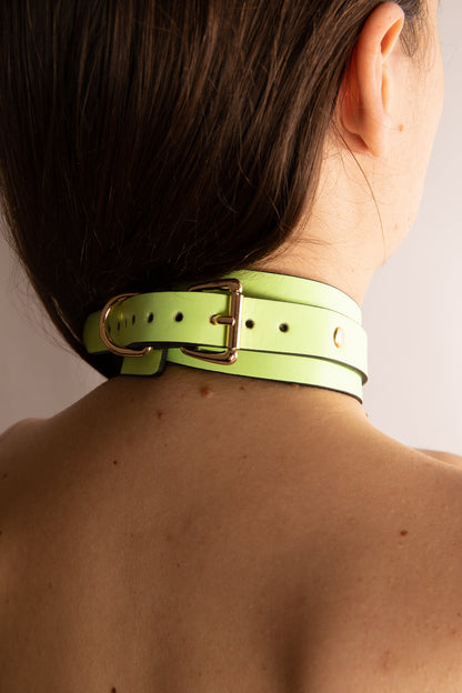 RADIANT COLLAR SET WITH LEASH FLUORESCENT GREEN
