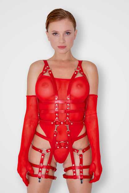MARCO HARNESS